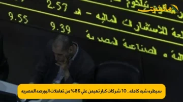 سيطرة شبه كاملة.. 10 شركات كبار تهيمن على 86% من تعاملات البورصة المصرية